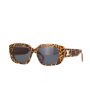 Triomphe Sunglasses in Leopard on Sale