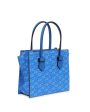 XS Bregancon Stand Up Tote in Blue Online