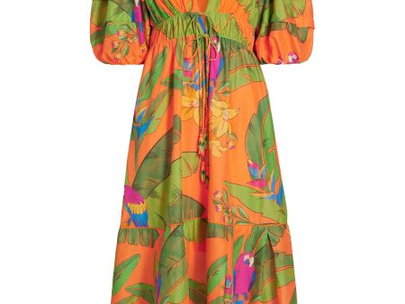 Orange Fresh Macaws Midi Dress For Cheap