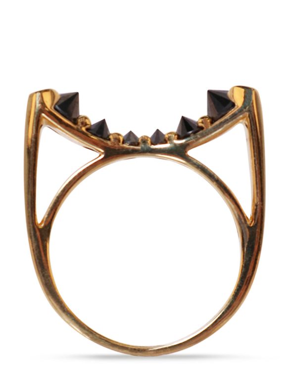 Black Diamond Inverted Ring Discount