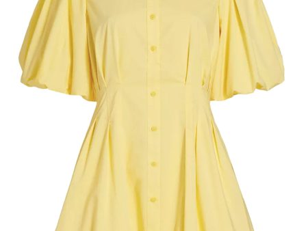 Sulfur Pintuck Cleo Balloon Mini Dress on Sale