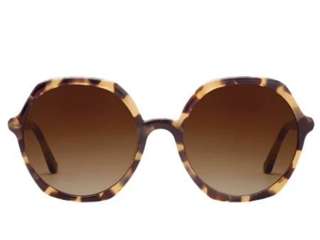 Sophia Sunglasses in Iberia Discount