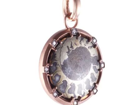 Ammonite Fossil Shell Pendant Online